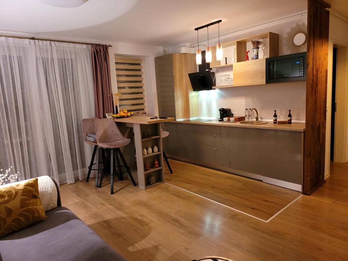 בראשוב Executive Apartment Avantgarden Coresi מראה חיצוני תמונה